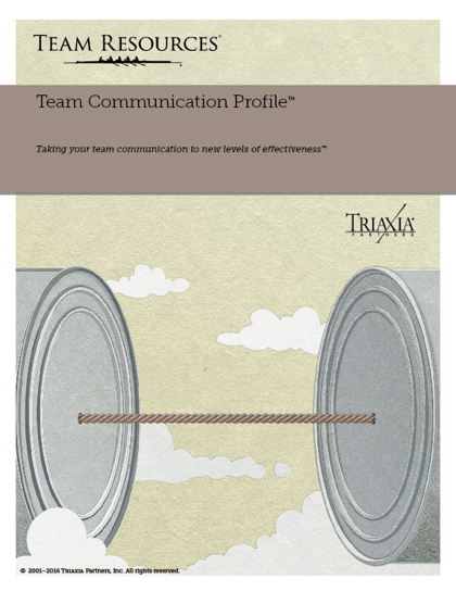 The Online Team Assessment Report for Team Communication