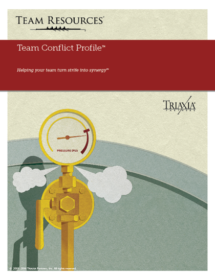 The Online Team Diagnostic Report for Team Conflict