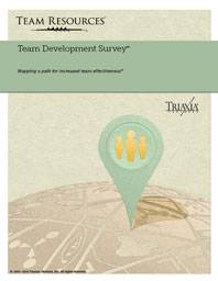The Online Team Assessment Report for Team Development