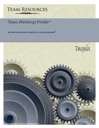 The Online Team Assessment Report for Team Meeting