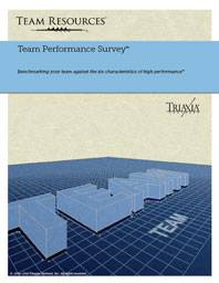 The Online Team Assessment Report for Team Performance